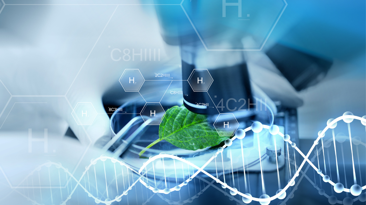 Fonds thématiques santé et biotechnologies : opportunités post‑pandémie