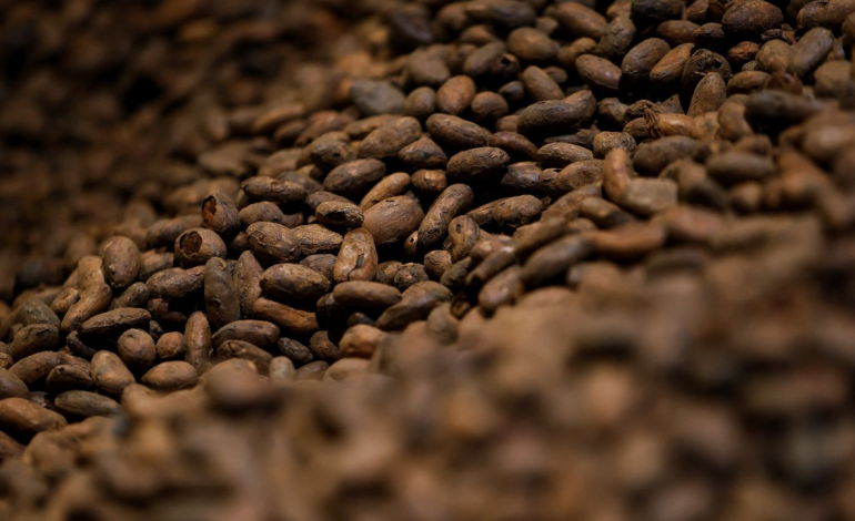 Cacao et café grimpent avec les risques météo